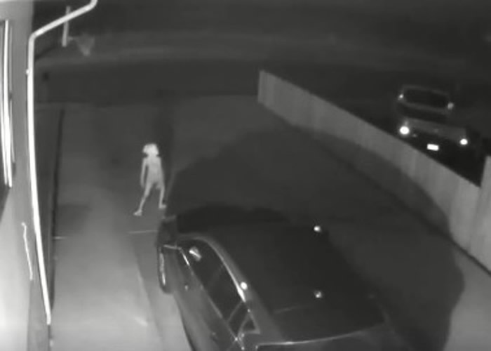 该“生物”走路时脚向外撑,弹弹跳跳。