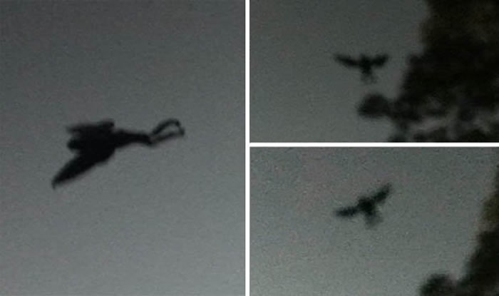 жŵ񡱣жŵ˵վ¹ǰ֡