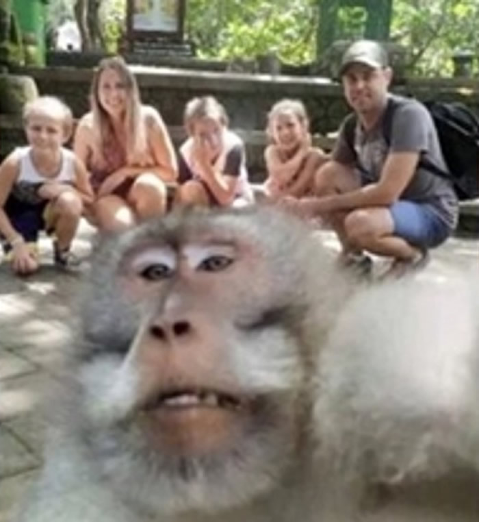 ޼ͥӡQﵺʥɭֹ԰ʱ