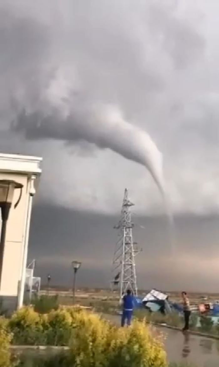 河北省张家口市尚义县大苏计乡龙卷风直插云霄 扯断树木电杆吹塌房屋