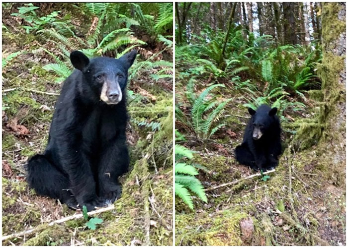 ոҰڹ԰ǻȴιʳ Ұﲿɱ