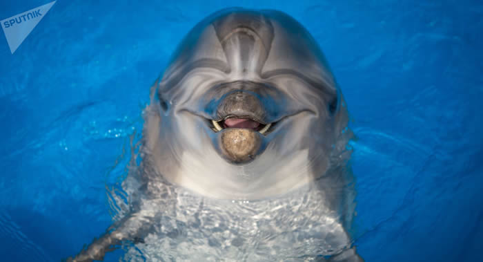 йҽǰ˹ѧϰƶͯԱ֢·Ʒ