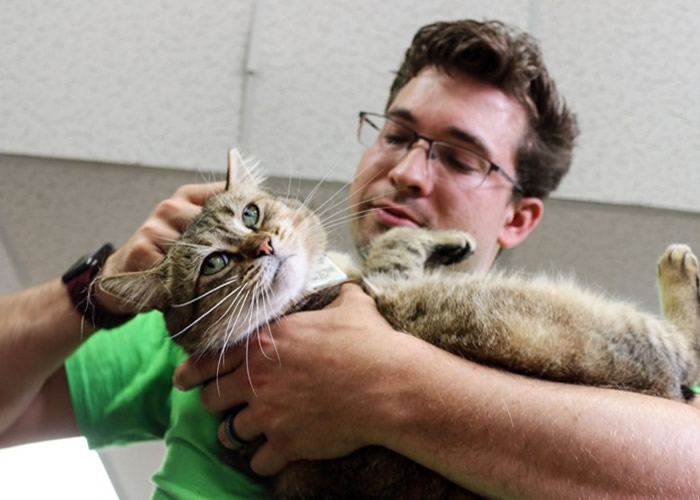 ����˹��ͼ����Ƹ��������è���󻼴�����١�