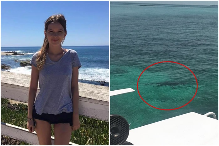 美国女大学生去巴哈马玫瑰岛浮潜体验“与猪猪游泳”活动 遭鲨鱼攻击惨死