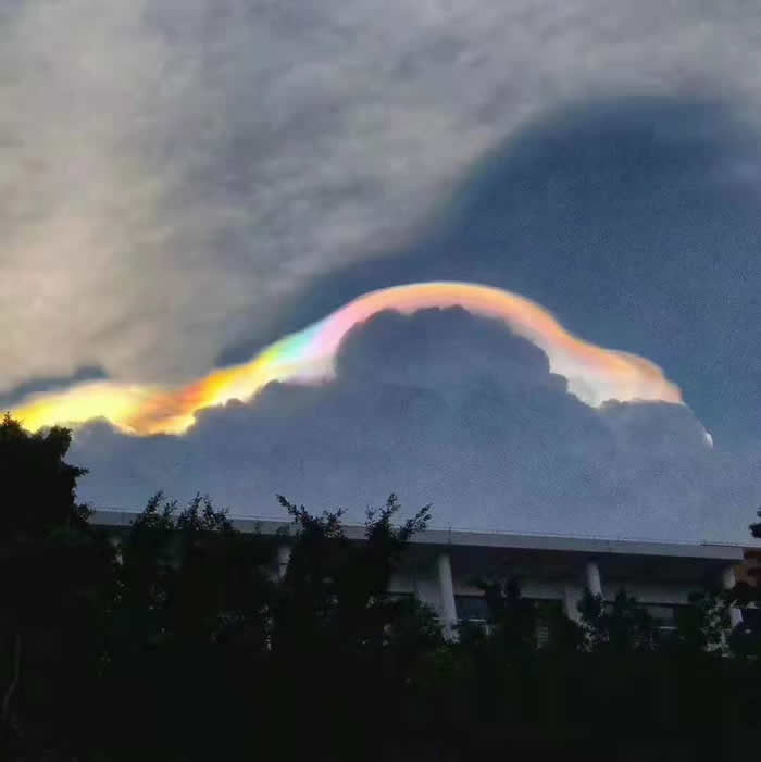 ߲ơ628չݱճֺʺ硱ʺƣ