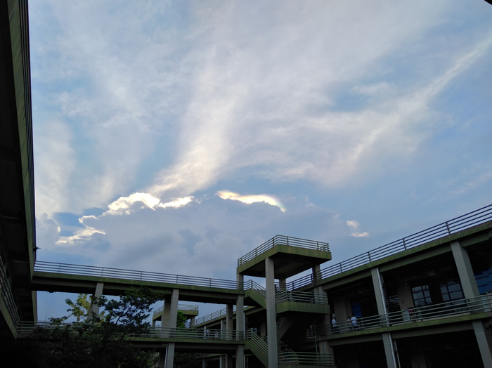 ߲ơ628չݱճֺʺ硱ʺƣ