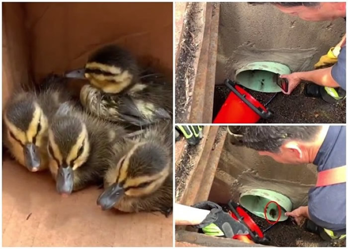 ����Ա���ֻ���Ѽ����������ͼ�����ɹ���������ˮ����СѼ������ͼ��Ȧ����