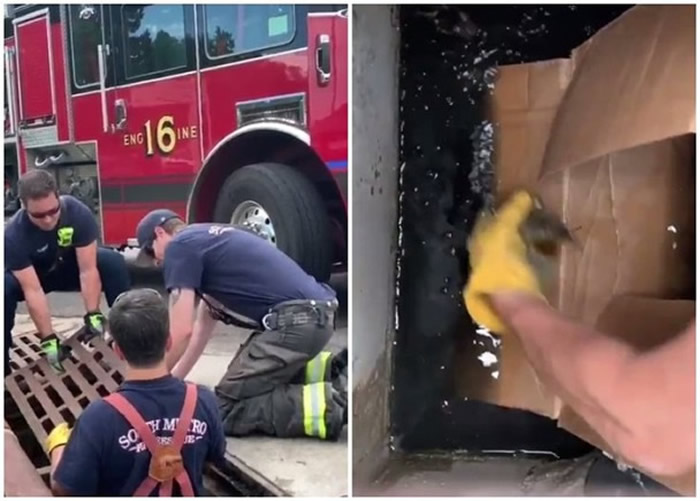 ����Ա�ҿ�ˮ���ǣ���ͼ��������������������ˮ���ڵ�СѼ����ͼ����