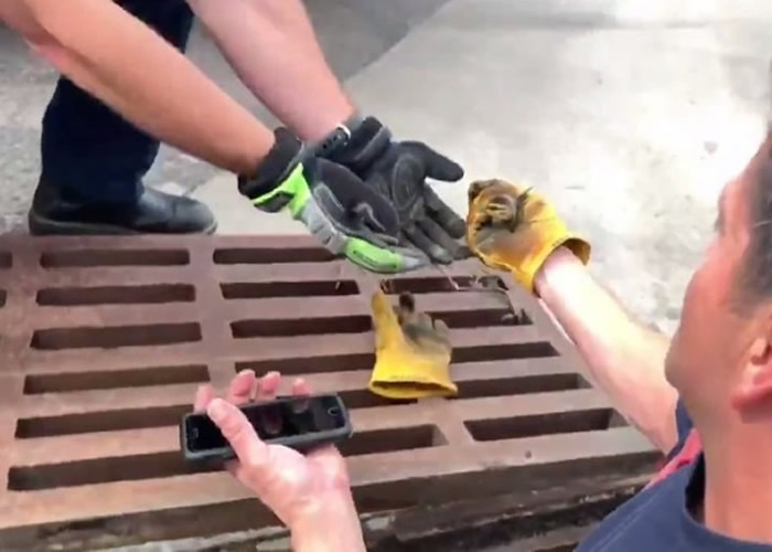 ����Ա����������СѼ��