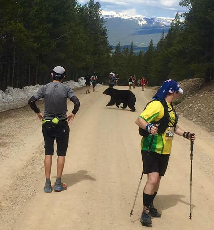 �������������ݺ�������������һ����