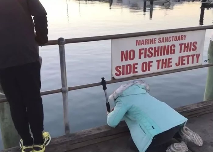 �ü�ͥ���Ӿ����ƣ�����ͷ��ֹ�̲���һ��׽з��