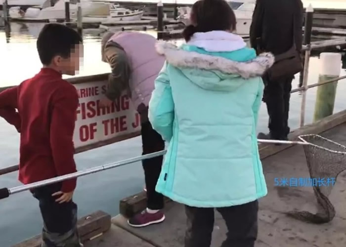 �ü�ͥ���Ʋ��Ϸ���������