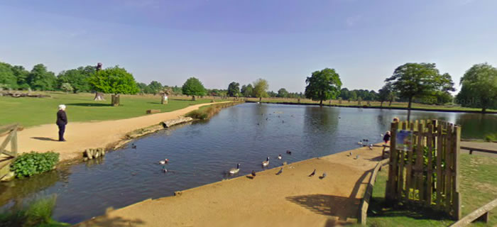 ������һֻ��쵱�Ź����˵���ɱ�����Ĺ�