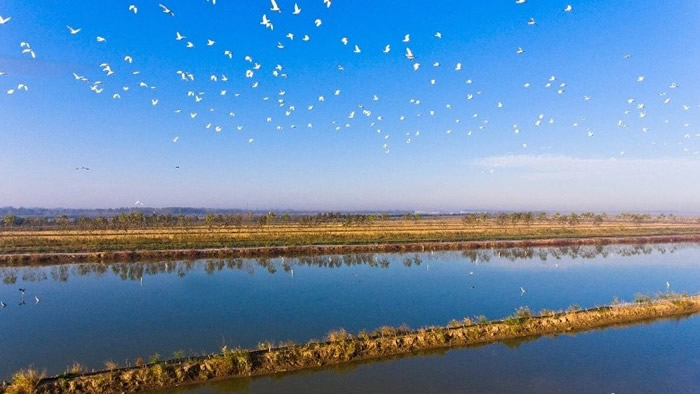 数以百万计的候鸟会途径该区域停歇。