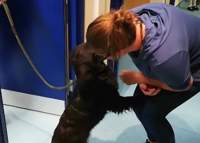 Ӣ�����￤����С������6�������� ƾ��ƬѰ��ؼ�·