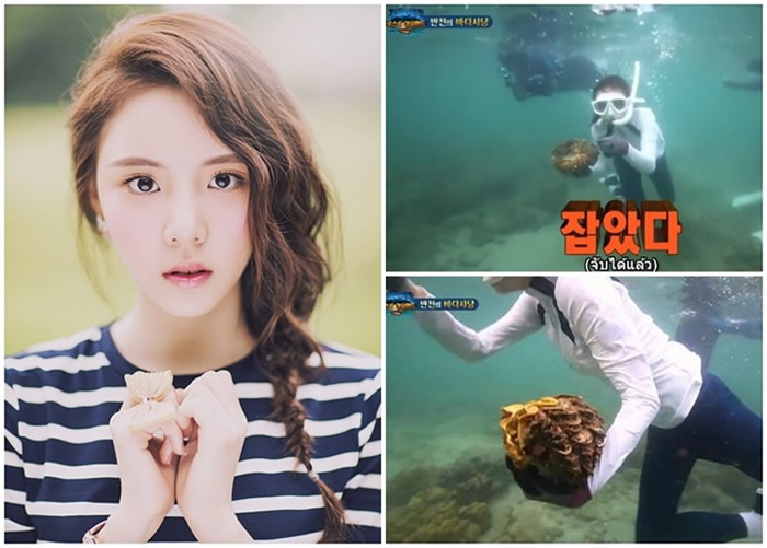 ����Ů����������̩�����︮�������ҹ�԰����ץ���ͱ��ද����ᡱ���Ե�