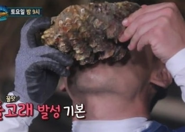 ����Ů����������̩�����︮�������ҹ�԰����ץ���ͱ��ද����ᡱ���Ե�