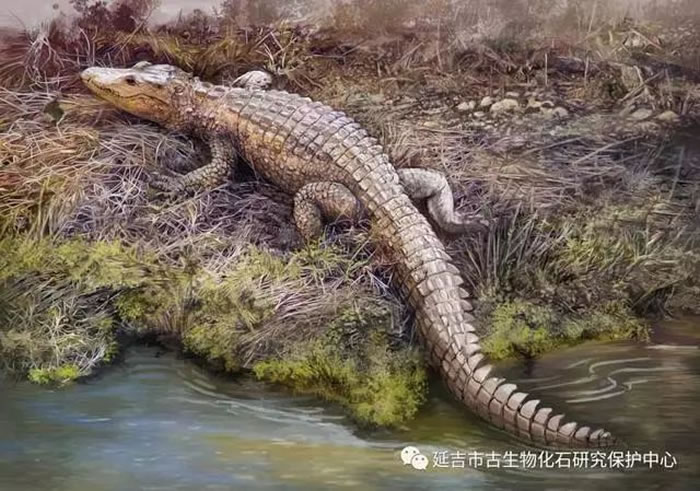 延吉鳄复原图(张宗达绘)