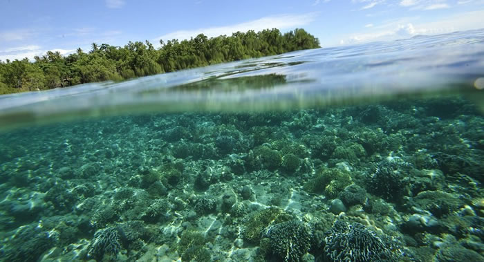 仯Ϳ֣ǧ֮ӡǺʴʧȥ൱׶żӴ