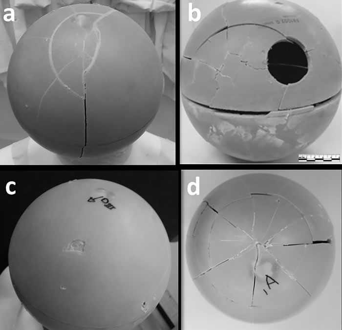法医实验的各种情形。a.在拱顶上用木制棒球棒击打;b.用靠近枕骨大孔的木制棒球棒击打;c.用火山岩击打;d.坠物从10米处坠落击打的情形。