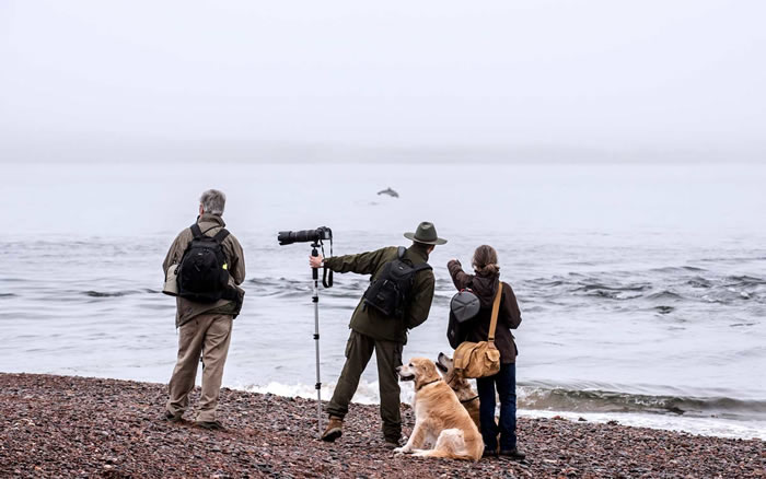 �ո��������Ƴ����۾���ͼ������ע30������Թ۲쾨�㡢���������ĵص�