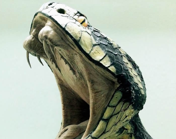 俄罗斯紧急情况部给出建议提示被蛇咬伤应当怎样做