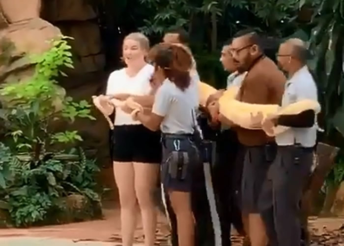 �¼��¶���԰�ٰ���������ܽӴ�� Ů�ӱ���������ʧɫ