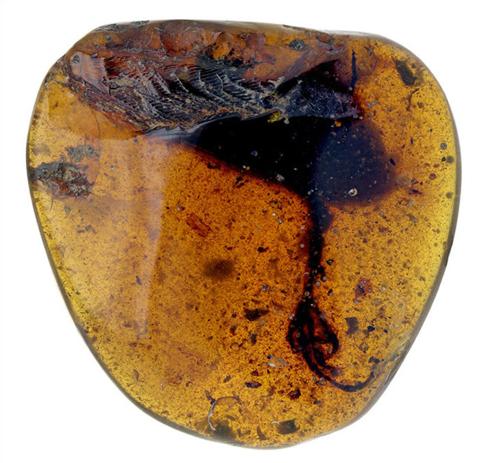 ��������з������������֡���������