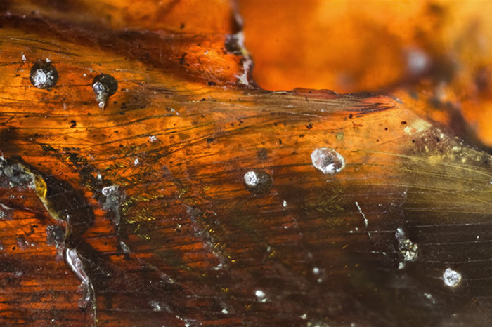 ��������ë��д����Ӱ/�����