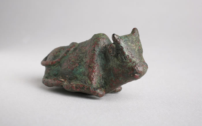 全基因组分析发现家牛(Bos taurus)的复杂起源