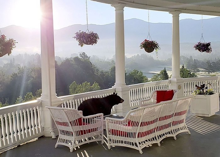 �����������������漴��ȥ�ص����֡�