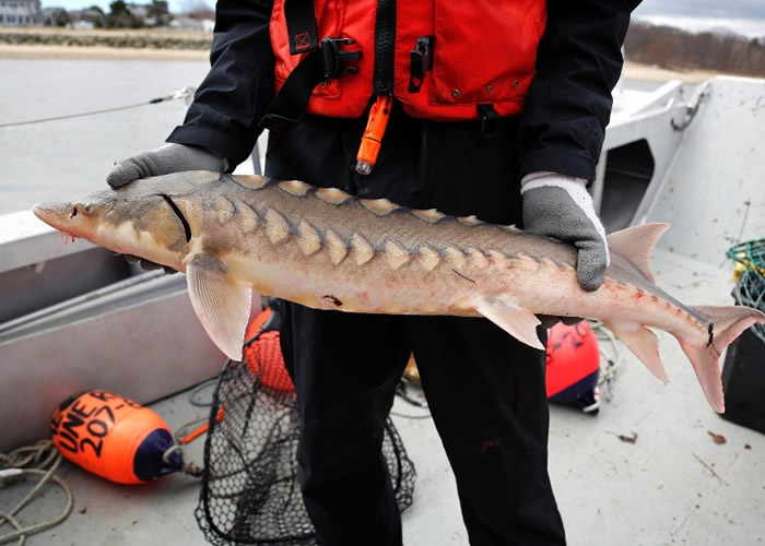 20���걣����ʩ���� �����ʯ������Ŀ������