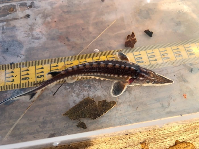 20���걣����ʩ���� �����ʯ������Ŀ������