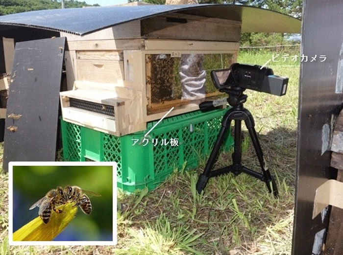 ձNARO¼㲢Զ۷䡰8衱¼ ҵ