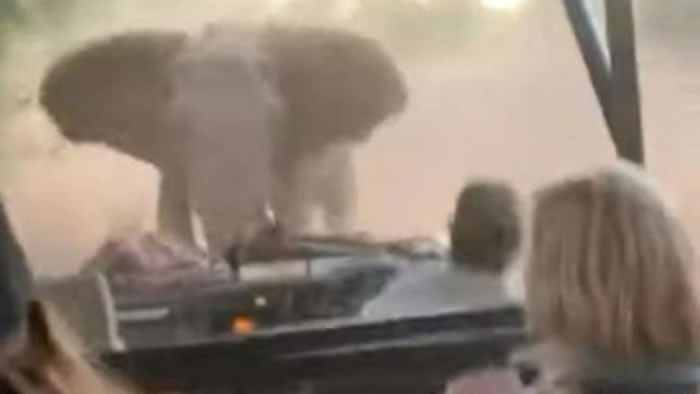 ϷҰ԰ŭ׷ճǷ ˾ǿ񼼾ο