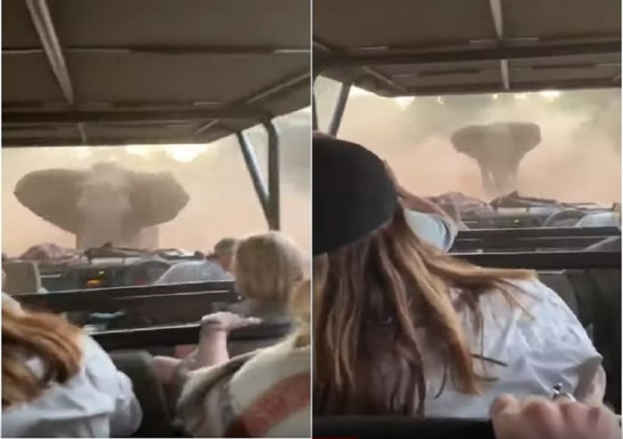 ϷҰ԰ŭ׷ճǷ ˾ǿ񼼾ο