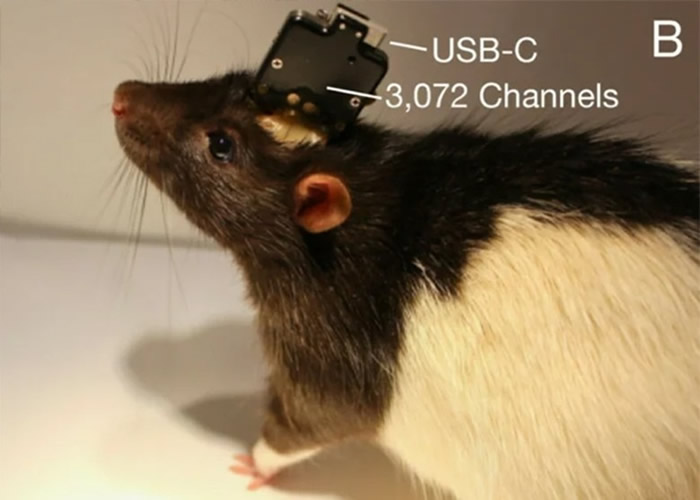 �Բ���Ƭ����������ʵ��ȡ�óɹ���