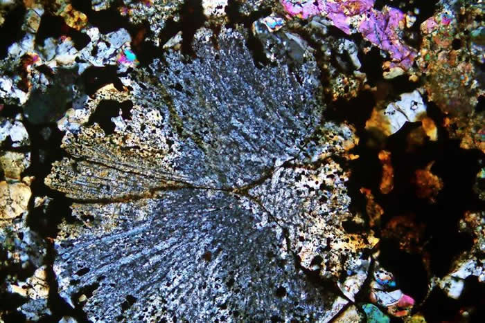 澳大利亚男子David Hole在墨尔本附近淘金时发现46亿年前陨石 重达17公斤