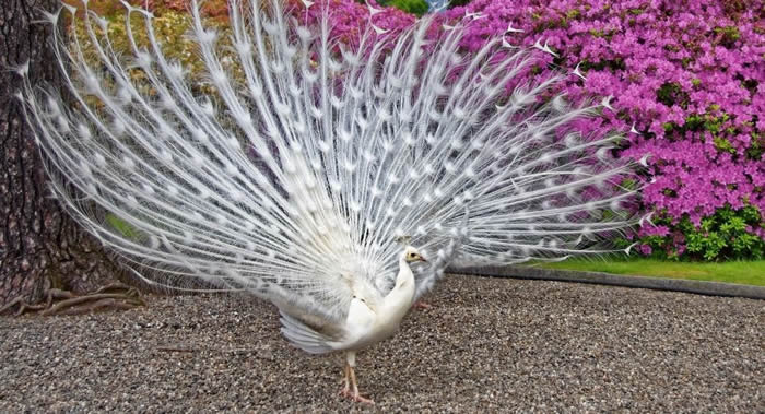 ӡ�ȴ������������ɱ��ȸ������