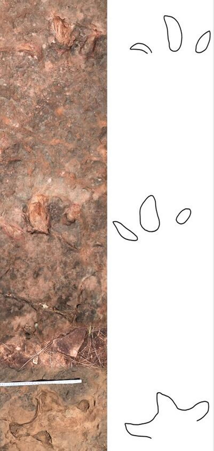 ����»�Ửʯ��巢��1.5����ǰ��ӡ��ʯ �����ˡ������߳���һ�׵ľ�������ο���