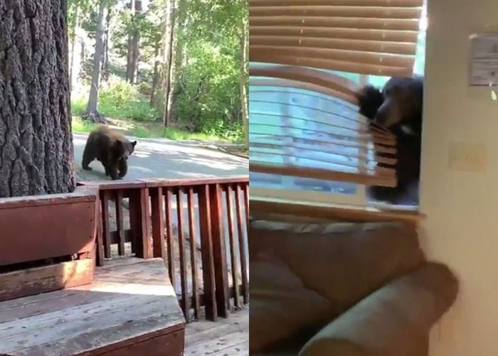 ���������������������ͼ����ȼ����Ż�2��Ů��