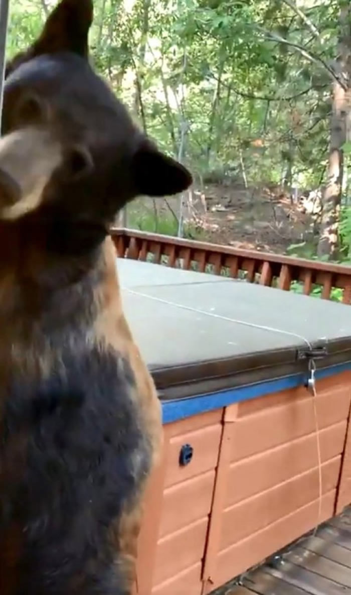 ���������������������ͼ����ȼ����Ż�2��Ů��