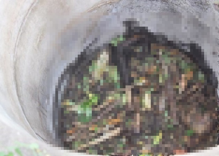 泰国黎逸府素汪那普县女子家中屡现怪声和模糊人影 枯井发现人骨