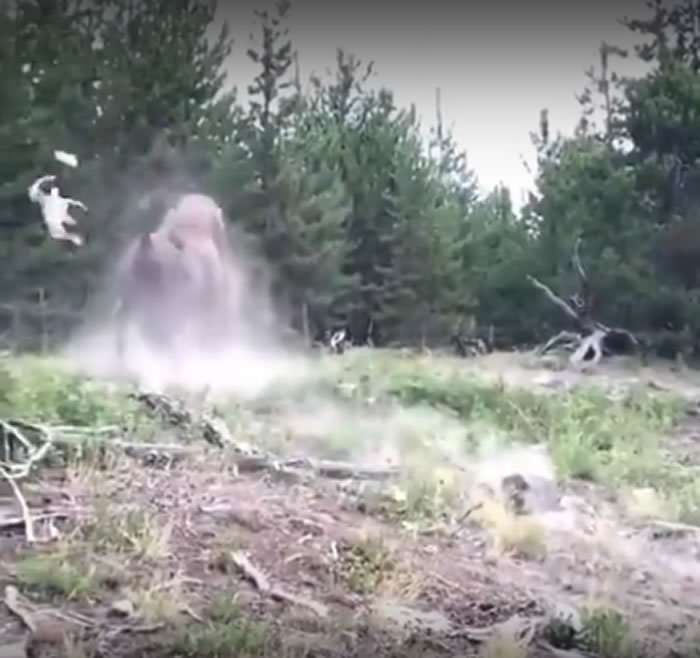 ����Ů����������ʯ���ҹ�԰�����ҰţϮ��