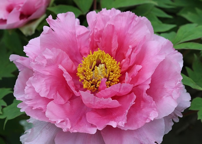 �й�����Э�ṫ������ͶƱ�����ĵ������λ