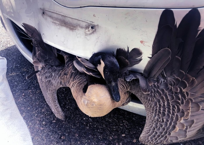 ������������Ұ�������ײ ����ˮ����˾����Ȼ��֪