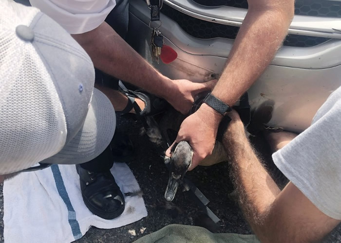 ������������Ұ�������ײ ����ˮ����˾����Ȼ��֪