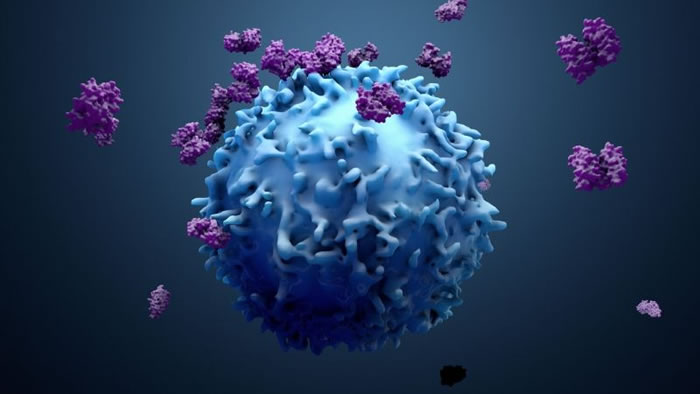 Լ�����ս�˹��÷����֢���ģ������Ʒ�ҩ��Nivolumab�������ڰ�֢���߾������õ�5��������