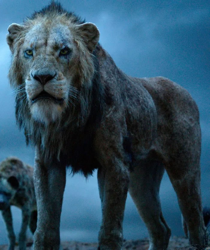 ��������Ȼ���������ֶ���ʨ�� ���κ���ʨ��������ķ��ɽ�ɫ�����̡�