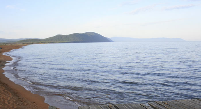 俄罗斯贝加尔湖的动植物进化速度异常之快